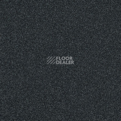 Ковровая плитка Interface Level Up 4267002 Anthracite фото 1 | FLOORDEALER